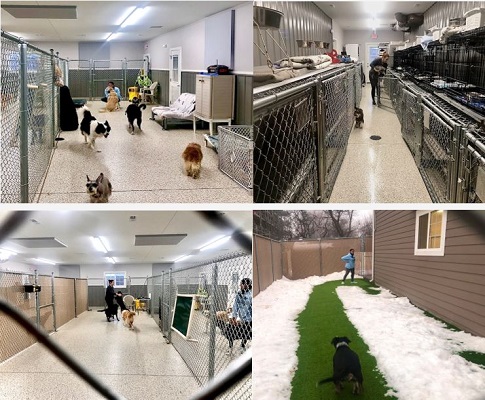 NSPC- large supervised  play areas - individual sleep and rest dog crates - outdoor run and go areas